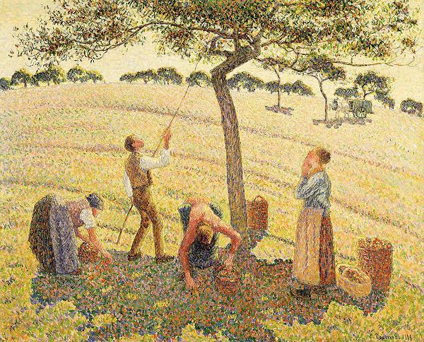 Camille Pissarro Apple harvest at Eragny oil painting picture